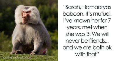“Tuxedo-Wearing Jerks”: Zookeepers Share Their Beef With Animals In This Hilarious Thread
