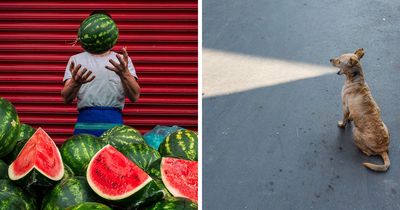 These 23 Street Photos Won The 2026 Macadam Awards’ Attention By Catching The Unexpected