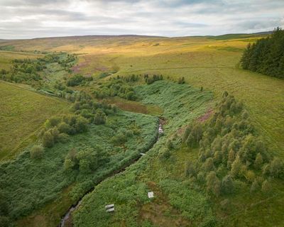 ‘Britain’s Yellowstone’: restoration project aims to take the greed out of land acquisition