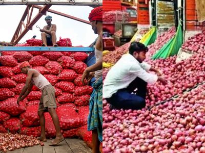 Government sells 4,000 tonnes of buffer onions across 17 cities in 10 days to cool prices