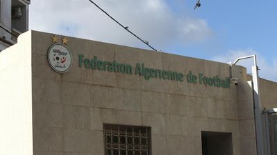Algerian football chiefs name Hemdani to replace Petkovic as head coach