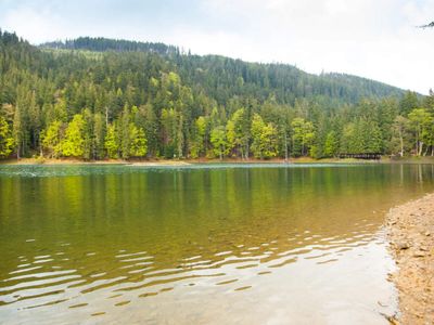 Post-1949, China increased its forest cover from 10% to 25%, but scientists found an unexpected side effect: Tree planting shifted water away from East & Northwest towards the Tibetan Plateau