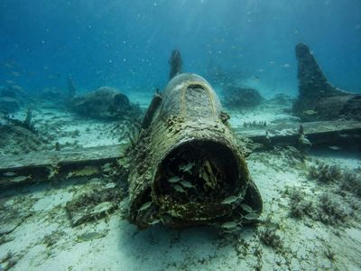 In 1997, Florida sank 8 A-7 Corsairs and a T-2 trainer off Jacksonville; 5 years later, all remained in place and were regularly used by divers and fishermen