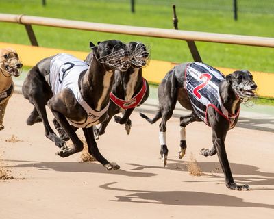 Misogynistic greyhound racing figures to undergo sexism training after Victorian MP Georgie Purcell abused online