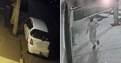 Police search for getaway driver in Commonwealth Hotel armed robbery