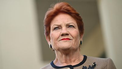 'Economically disastrous': Hanson's super policy panned