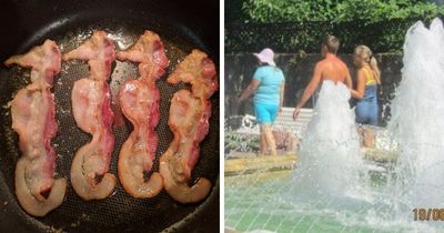 100 Extremely Unlikely Moments That People Somehow Managed To Capture