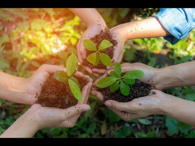 From dialogue to delivery: Turning 3 decades of ASEAN-India agri-cooperation into farmers’ prosperity