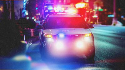 Brickbat: Itchy Taser Finger