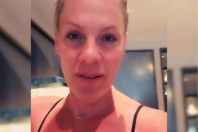 Pink Branded a 'Fool' Online After Call for Ed Sheeran to Offer Fans Refunds Over Macklemore