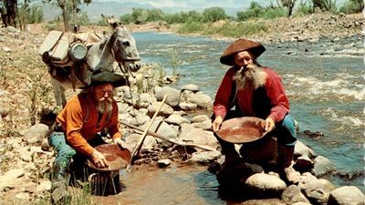 Who Owns California's Gold?