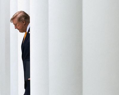 Legal veterans lead fightback against Trump’s ‘full-out assault on democracy’