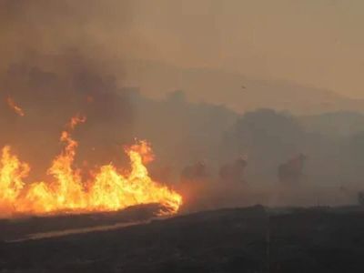 Whose bill is it when the fire spares the house but poisons the air? California just made that call