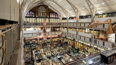 Oxford University museum to return remains of 39 people to India's Naga community