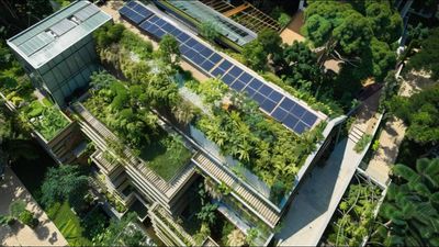 In 1999, Woody Harrelson started building an 8.5-acre Maui sanctuary around sustainable living. 26 years later, the estate runs on solar power and grows all its own food