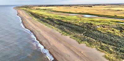 Saltwater flooding could radically change which crops are worth growing
