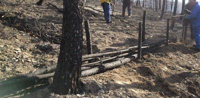 Fire and floods are usually treated as separate hazards. Portugal’s Pinhal Interior shows why they are part of the same cycle