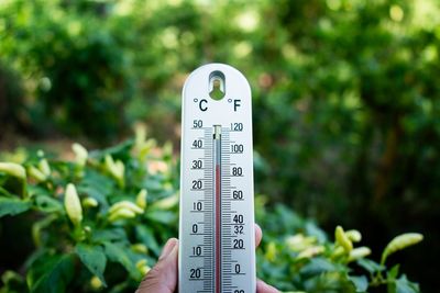 8 Ways to Protect Your Garden From Heat Without Running Up the Water Bill