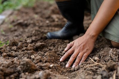 Your Watering Routine Could Be Costing More Than Your Plants Need