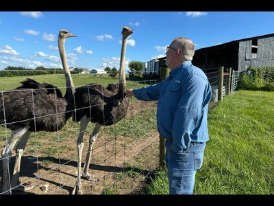 Kentucky man develops a life-threatening red meat allergy after a steak sandwich. Now he raises ostriches for a taste of beef