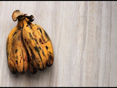 How to keep bananas fresh for longer: Try this simple kitchen hack to keep them fresh for longer