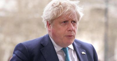 Activist 'plotted Palestine paint stunt at Boris Johnson wedding venue'
