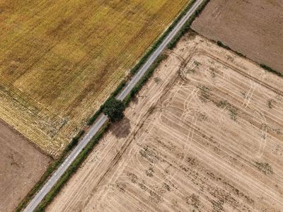 In 1976, France’s maize harvest hit a historic low; 50 years later, extreme heat and drought could be pushing it there again