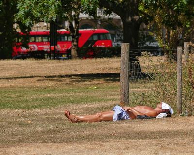 The Guardian view on skin cancer: fear the heat of the sun
