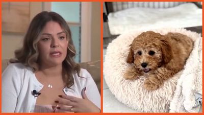 Miami mother battling cancer must now also battle her temporary dog sitter after they refused to give her beloved pet back