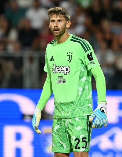 Guglielmo Vicario lifts lid on Tottenham exit as Roberto De Zerbi verdict issued