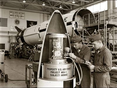 In 1958, a mouse nicknamed Minnie Mouse was sent to space by the United States Air Force under the first Mouse-in-Able (MIA-1) mission aboard a two-stage Thor-Able rocket but the animal didn't survive the flight