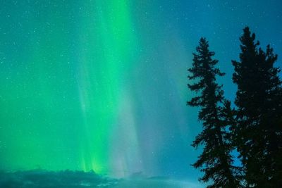Northern Lights May Be Visible Across 11 US States Before Dawn Tuesday as NOAA Watches Possible G1 Storm