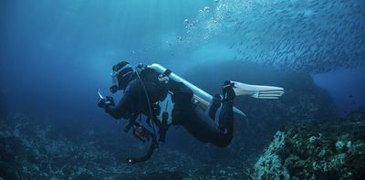 We’re not protecting our oceans as well as we think: new research