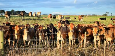 Can what we feed farm animals directly benefit our own health? Our research suggests it can