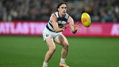Cats star continues push for concussion answers
