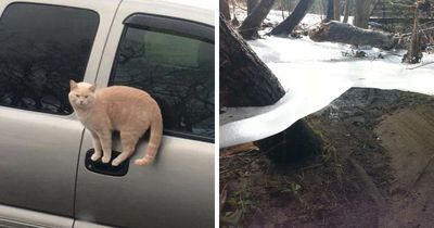 69 Baffling Images That Seem To Make Absolutely No Physical Sense