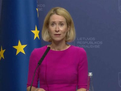 Europe should not give without getting anything in return in Ukraine peace deal: Kaja Kallas