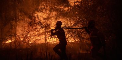 Why does Southeast Asia keep breathing the same haze — and can ASEAN do more to stop it?