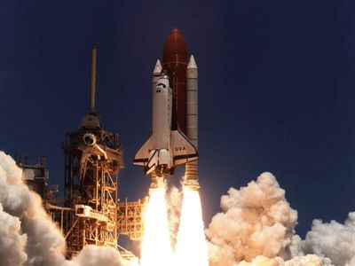In 1994, NASA flew four Japanese red-bellied newts on STS-65 for nearly 15 days; two adults died, but 32 newt eggs hatched