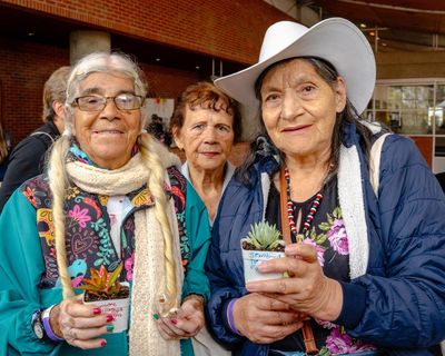 ‘In parks you only see dogs, never children’: can Bogotá adapt to its ageing population?