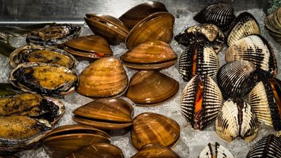 Massachusetts Joins Hepatitis A Outbreak Tied to Imported Frozen Clams as Cases Reach 37 and Hospitalizations 30