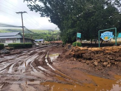 Hurricane Lowell takes aim at Hawaii: schools shut, evacuations urged as dangerous winds, flooding and 16 inches of rain threaten Kauai