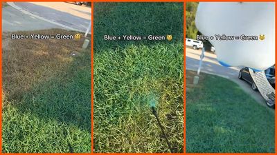 HOA wants to charge homeowner $500 because his grass isn’t green, so he adds a little blue and yellow: ‘No more HOA fee’