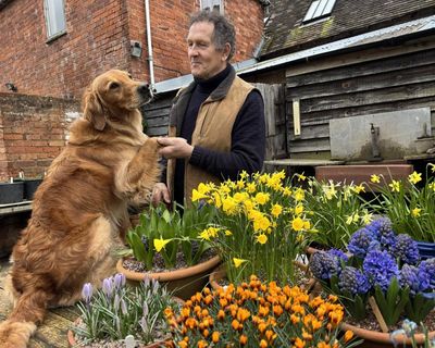 Monty Don steps down from BBC’s Gardeners’ World after 23 years