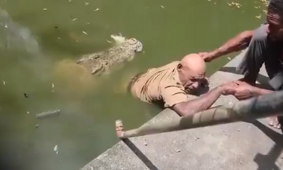 驚悚片曝光！主題樂園飼育員突遭巨鱷撕咬拖下水 死前悲吐這1句......