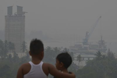 Genetic COPD Risk Tracked with Slower Lung Growth in Swiss Children Only Where Air Pollution Was Highest