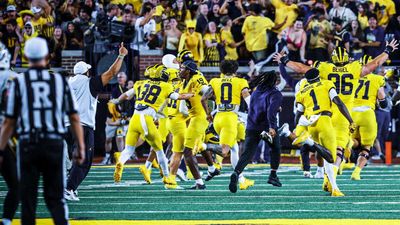 Referees Have Nothing To Hide. The NFL and NCAA Should Show Every Big Replay Review Live on TV.