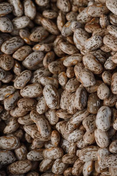 These 10 Grocery Staples Still Cost Less Than $1 Per Serving in 2026