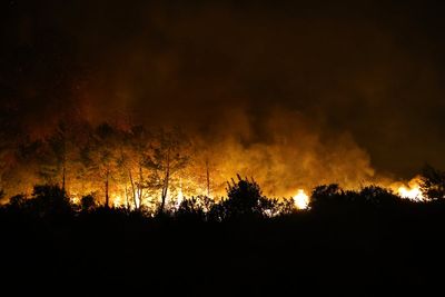 A wind-fueled wildfire forces hundreds from homes in Turkey as firefighters battle flames
