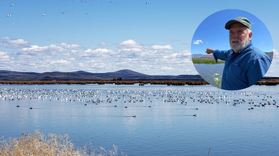 A farmer turned 70 acres of his Oregon barley farm into a wetland; now it hosts 140 bird species and endangered fish